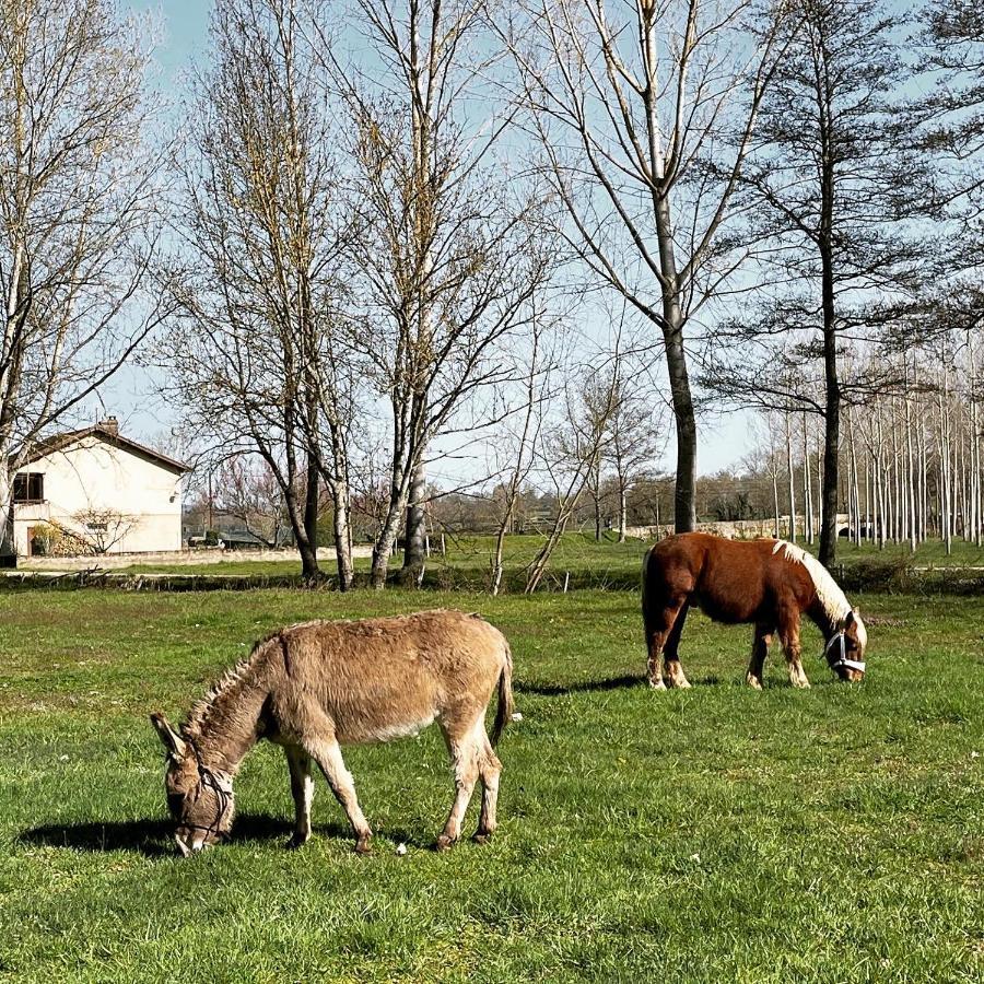Moulin De Pras Bed & Breakfast Sigy-le-Chatel ภายนอก รูปภาพ